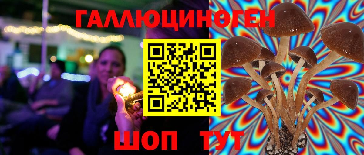 Галлюциногенные грибы прущие грибы Рыбинск